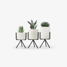 images/Pots-Planters_235x.jpg